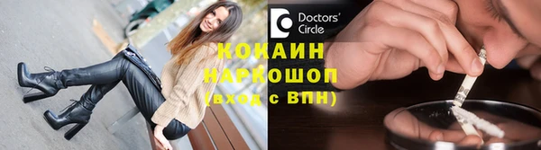 прущие грибы Кукмор