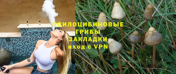 прущие грибы Кукмор