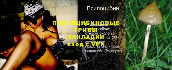 кокс Кулебаки
